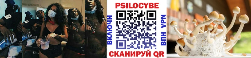 Галлюциногенные грибы Psilocybe  МЕГА ССЫЛКА  Бугуруслан 